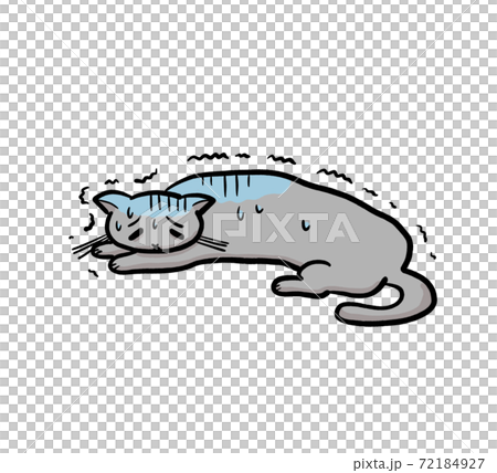 Illustration of a sick cat Illustration of a sick cat 72184927