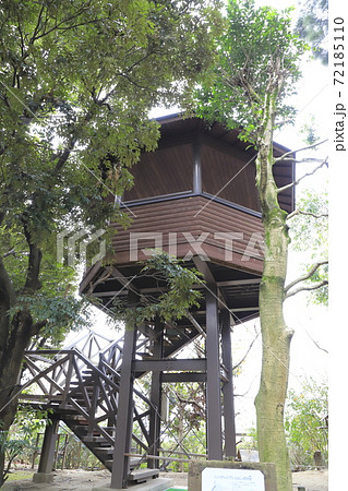 キャンベルタウン　野鳥の森　観察棟　埼玉県越谷市 72185110