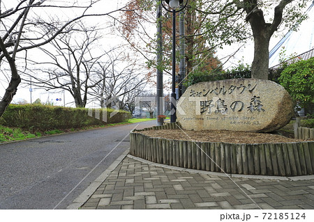 キャンベルタウン　野鳥の森　埼玉県越谷市 72185124
