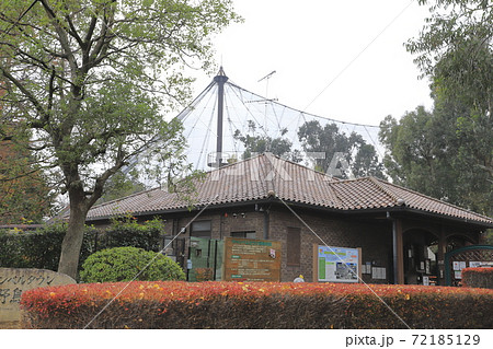 キャンベルタウン 野鳥の森 埼玉県越谷市の写真素材