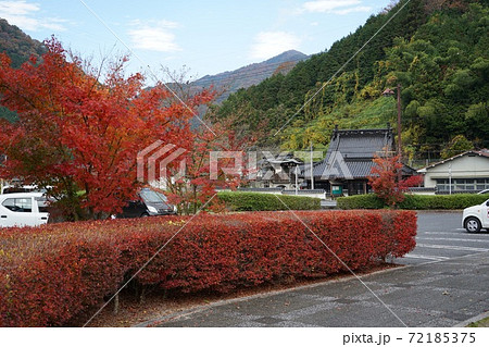 岩国市 道の駅「ピュアラインにしき」紅葉 岩国市 道の駅「ピュアラインにしき」紅葉 72185375