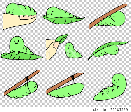 9種Imomushi插圖 9種Imomushi插圖 72185389