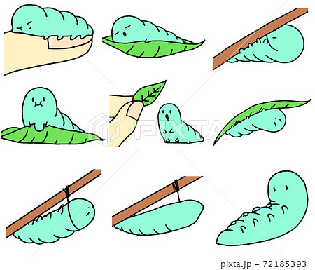 いもむしイラスト9種 青緑色 のイラスト素材