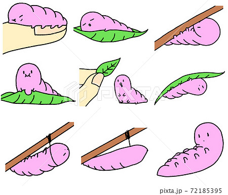 いもむしイラスト9種(桃色) いもむしイラスト9種(桃色) 72185395