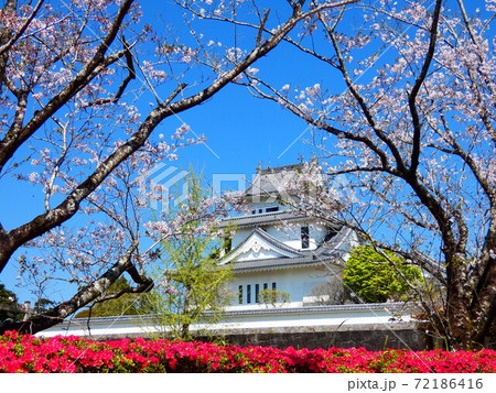 天ヶ城公園 天ヶ城公園 72186416