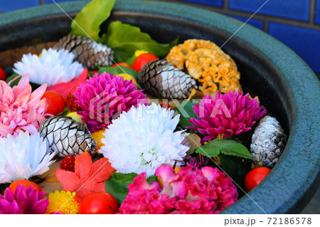 行田八幡神社の花手水 行田八幡神社の花手水 72186578