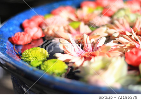 行田八幡神社の花手水 行田八幡神社の花手水 72186579