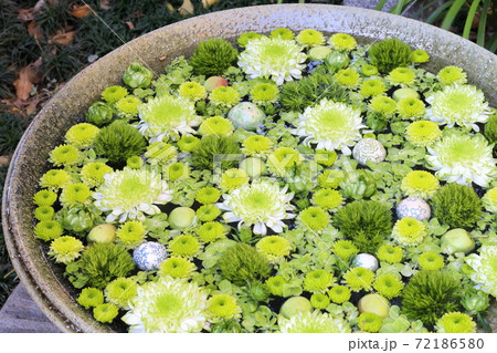 行田八幡神社の花手水 72186580