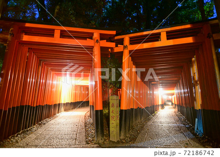 伏見稲荷大社の鳥居と美しい夜景の写真素材