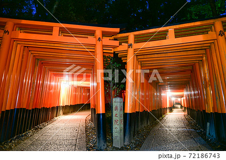 伏見稲荷大社の鳥居と美しい夜景 伏見稲荷大社の鳥居と美しい夜景 72186743