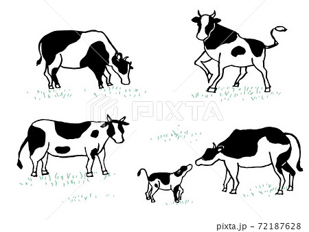 牛のイラスト 72187628