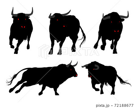 Set of bulls silhouettes in different poses. Isolated over white background. Set of bulls silhouettes in different poses. Isolated over white background. 72188677