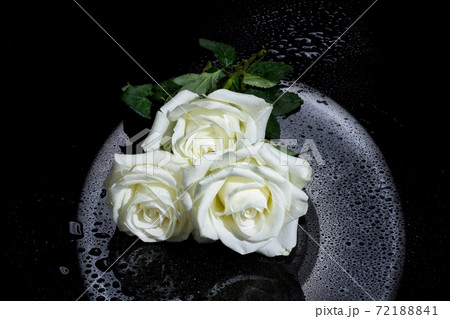 Roses And Jewelry Roses And Jewelry 72188841