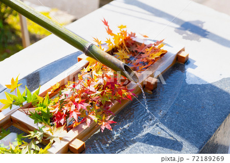 倶利伽羅不動寺の紅葉 72189269