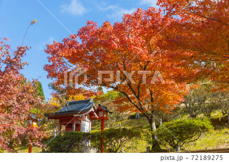 倶利伽羅不動寺の紅葉 倶利伽羅不動寺の紅葉 72189275