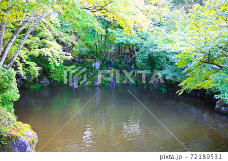醍醐寺　弁天池の滝 72189531
