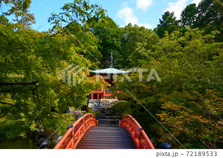 醍醐寺　弁天堂　朱塗りの輪橋 72189533