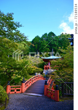 醍醐寺 弁天堂 朱塗りの輪橋 醍醐寺 弁天堂 朱塗りの輪橋 72189534