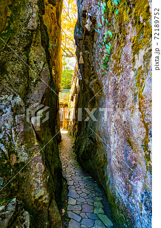 滋賀県東近江市 太郎坊宮の本殿前にある夫婦岩 滋賀県東近江市 太郎坊宮の本殿前にある夫婦岩 72189752