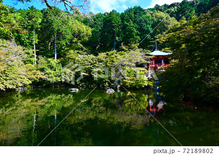 醍醐寺 弁天堂 弁天池 醍醐寺 弁天堂 弁天池 72189802