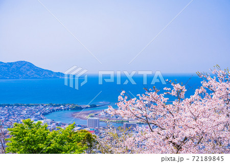 (静岡県)桜満開の香貫山香陵台から望む、沼津の街並 (静岡県)桜満開の香貫山香陵台から望む、沼津の街並 72189845