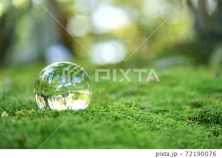こもれび背景苔庭のガラスボール こもれび背景苔庭のガラスボール 72190076