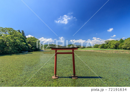 薦神社（大貞八幡薦神社）大分県中津市 72191634