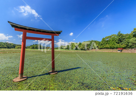 薦神社（大貞八幡薦神社）大分県中津市 72191636