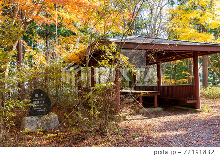 【山梨県】　石割神社　参道 72191832