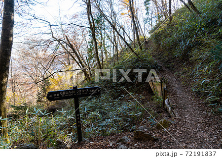 【山梨県】　石割神社　参道 72191837