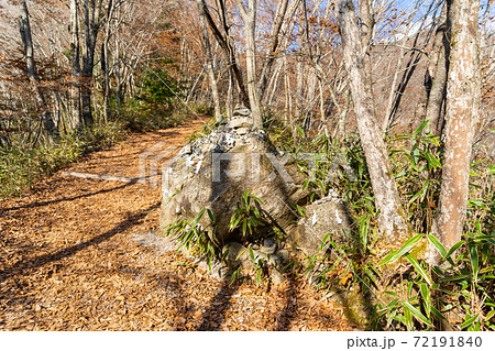 【山梨県】　石割神社　参道 72191840