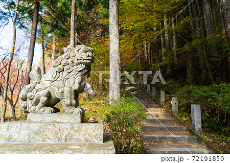 【山梨県】　石割神社　参道 72191850