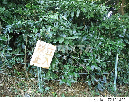 森の中へ「立ち入り禁止」 森の中へ「立ち入り禁止」 72191862