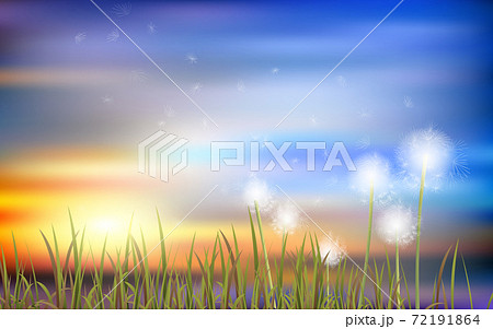 Dandelion in the meadow with cloud on the blue sky in winter background 72191864