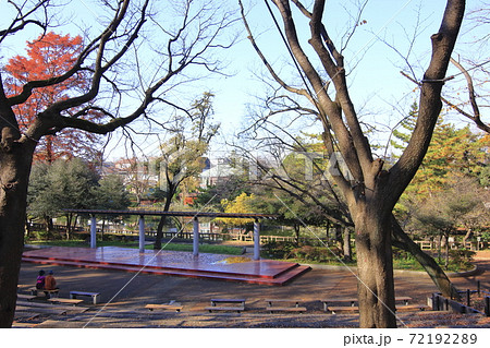 晩秋の石神井公園 晩秋の石神井公園 72192289