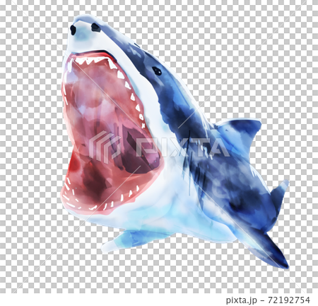 サメ_水彩テクスチャー 72192754