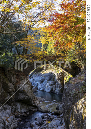 魔林狭の紅葉 72192939