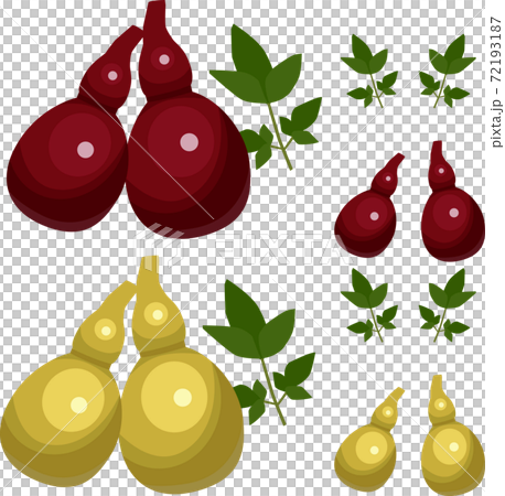 ひょうたんのしば漬けのイラスト素材 ひょうたんのしば漬けのイラスト素材 72193187