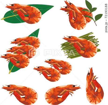 イラスト素材 海老の煮物 正月料理 年賀上素材 ベクター イラスト素材 海老の煮物 正月料理 年賀上素材 ベクター 72193188
