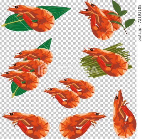 イラスト素材 海老の煮物 正月料理 年賀上素材 ベクター イラスト素材 海老の煮物 正月料理 年賀上素材 ベクター 72193188