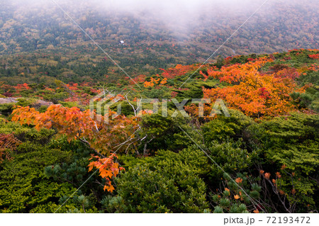 早池峰山の紅葉 早池峰山の紅葉 72193472