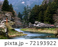 立久恵の桜 72193922