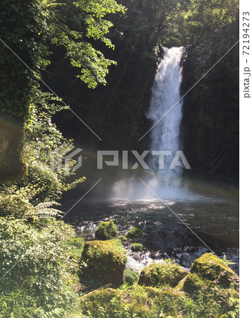 浄蓮の滝 72194273