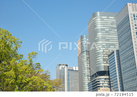 【大阪府】5月・新緑時期の大阪市役所前の遊歩道から撮影 72194515