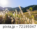 秋のススキがある日本の絶景 72195047