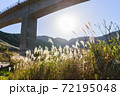 秋のススキがある日本の絶景 72195048