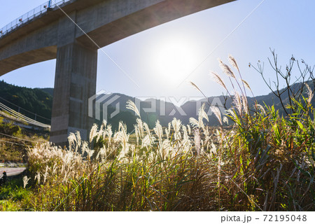 秋のススキがある日本の絶景 72195048