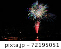 狩野川花火大会の花火 72195051