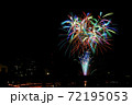 狩野川花火大会の花火 72195053