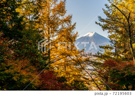 【山梨県】　富士山　新倉山 浅間公園 　紅葉　1 72195603